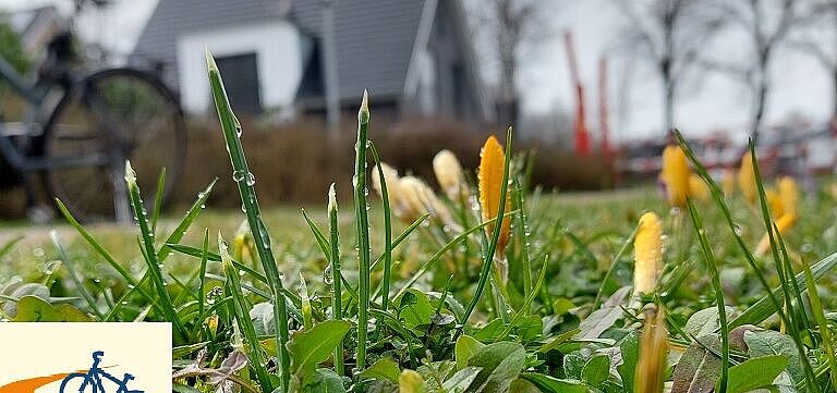 Krokuswiese in Elterbreischlag