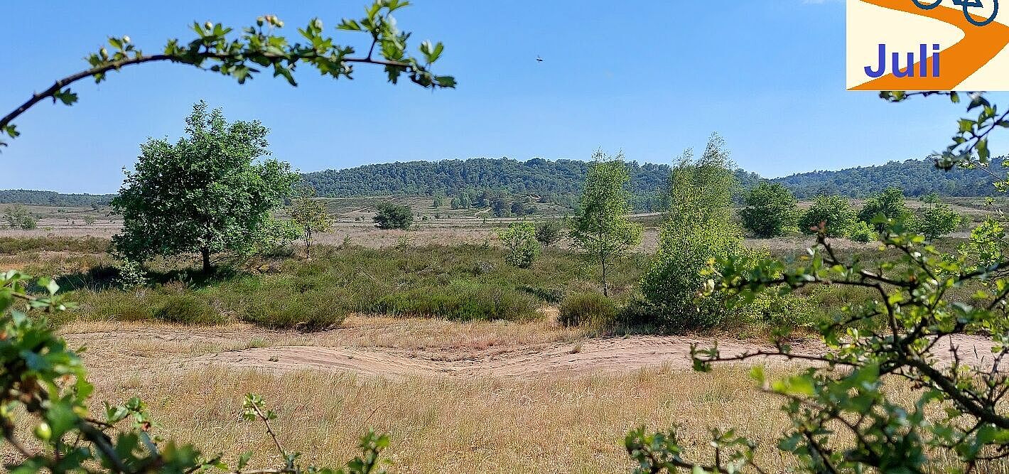 Blick ins Naturschutzgebiet Borkenberge